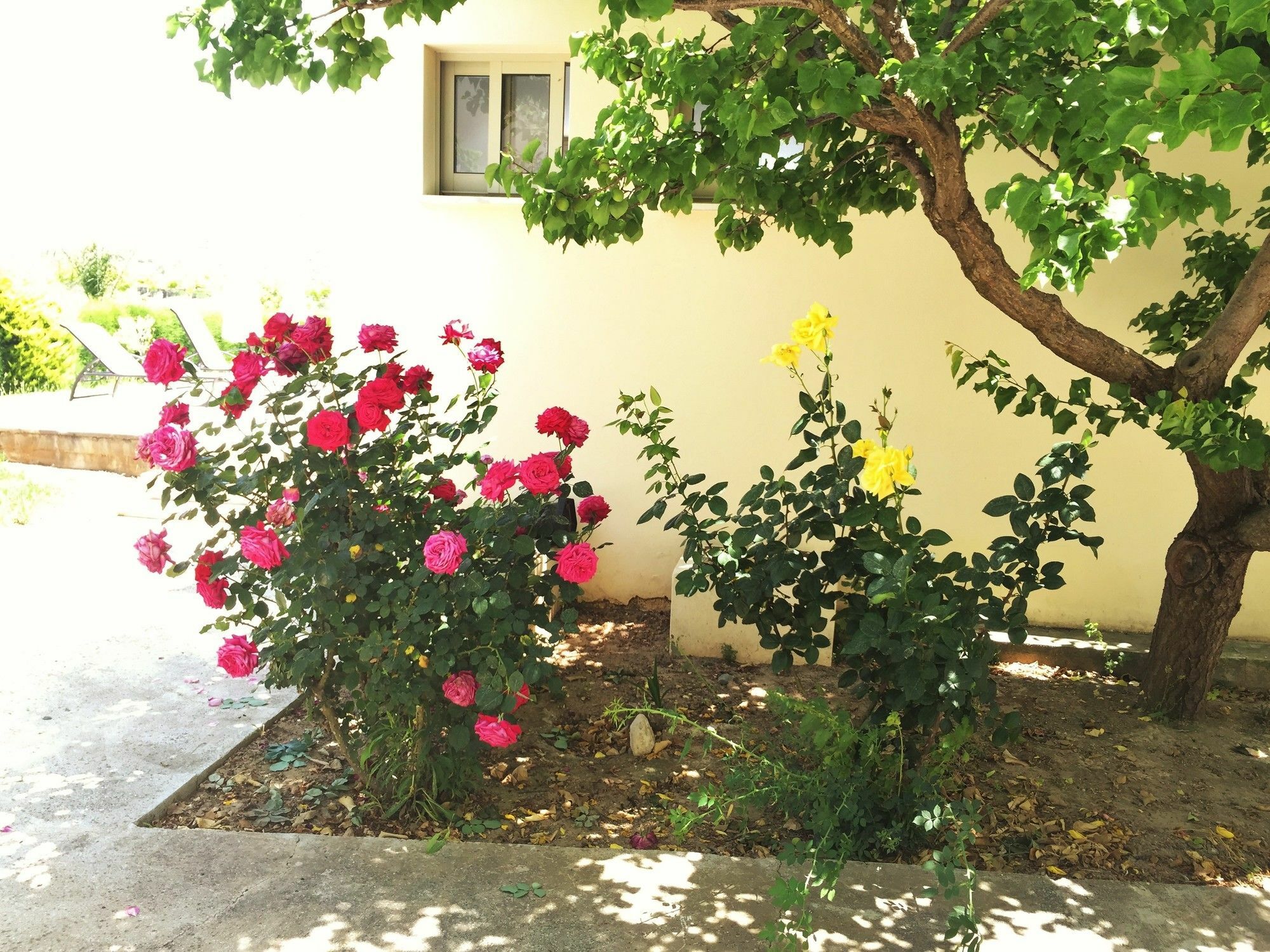 Διαμερίσματα Χειμώνας Πισσούρι Εξωτερικό φωτογραφία